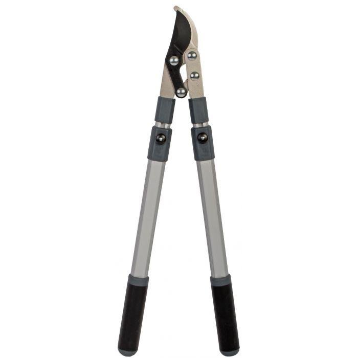 Takkenschaar Takkenschaar