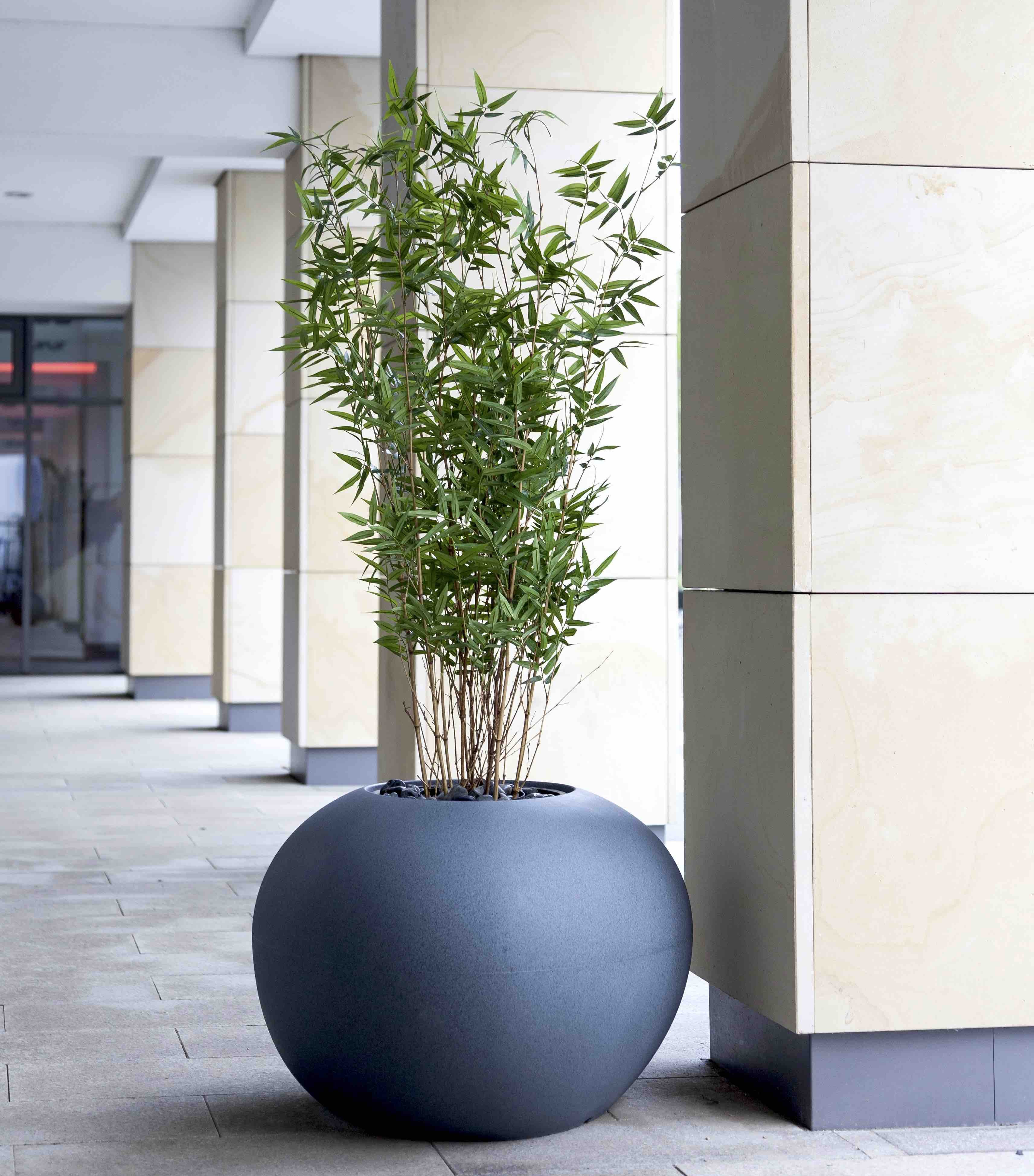 MiStorus Storus IV 75x69x49 cm antraciet MiStorus Storus IV 75x69x49 cm antraciet