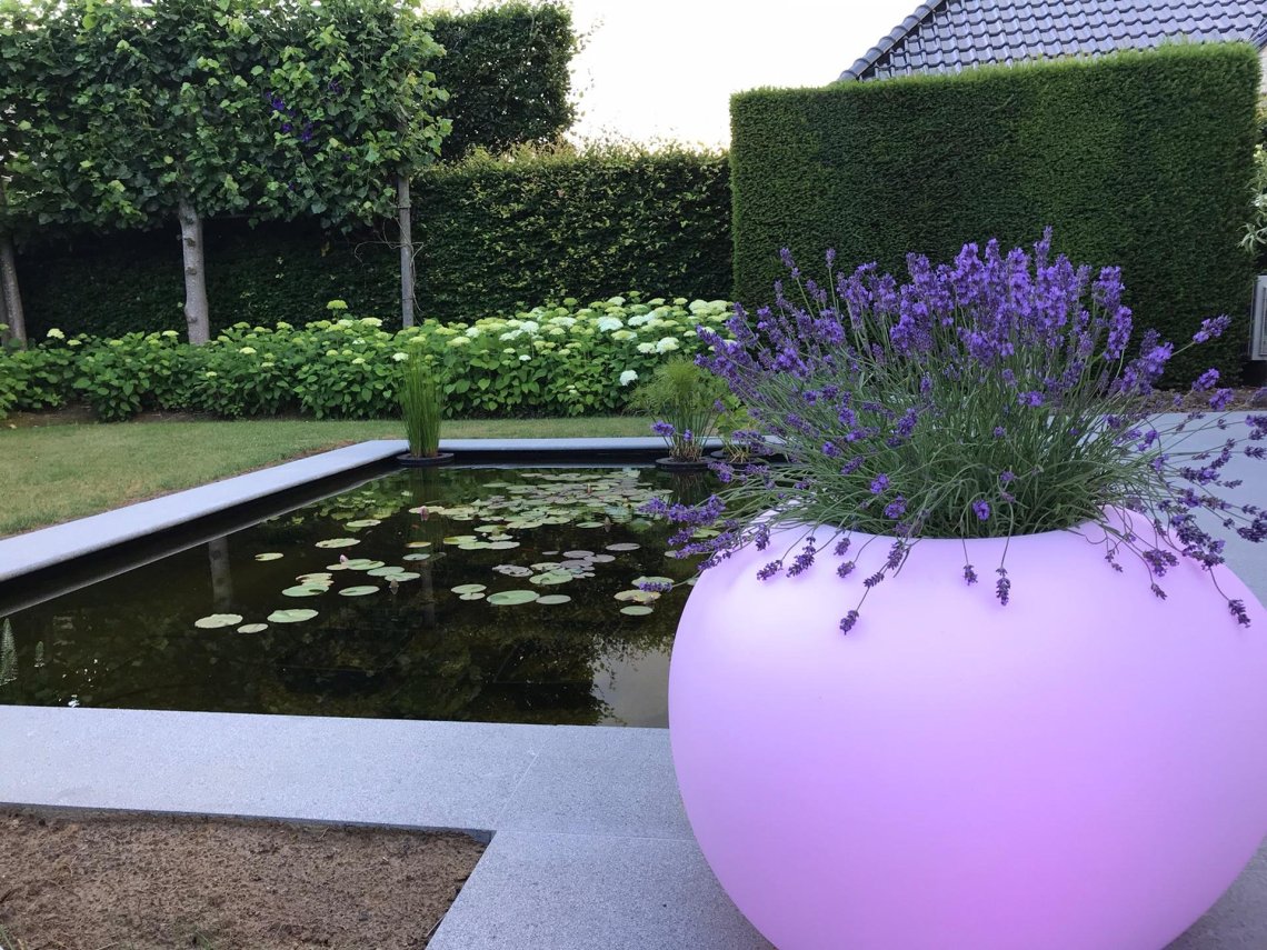 MiStorus Storus IV 75x69x49 cm wit transparant LED-verlichting MiStorus Storus IV 75x69x49 cm wit transparant LED-verlichting