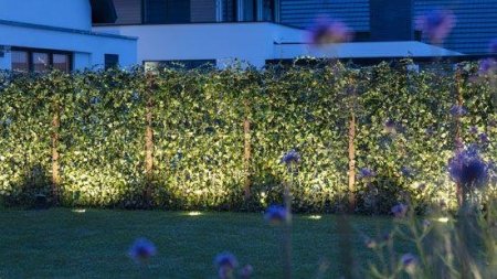 LUNA  incl.  ring 68 black