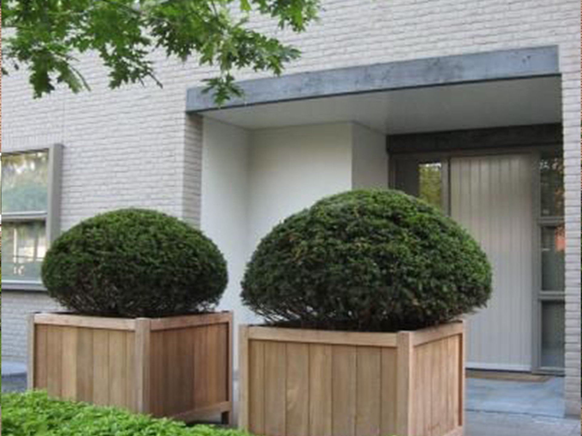 233-hardhout 233-hardhout
